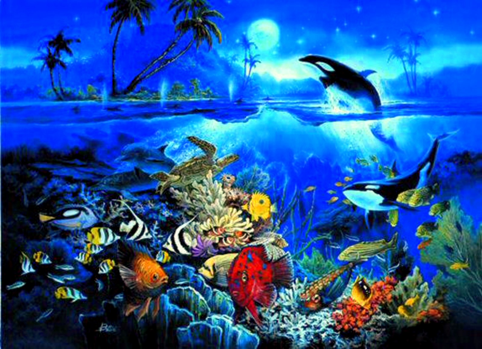 Underwater Ocean Backgrounds HD wallpaper background 1600x1157