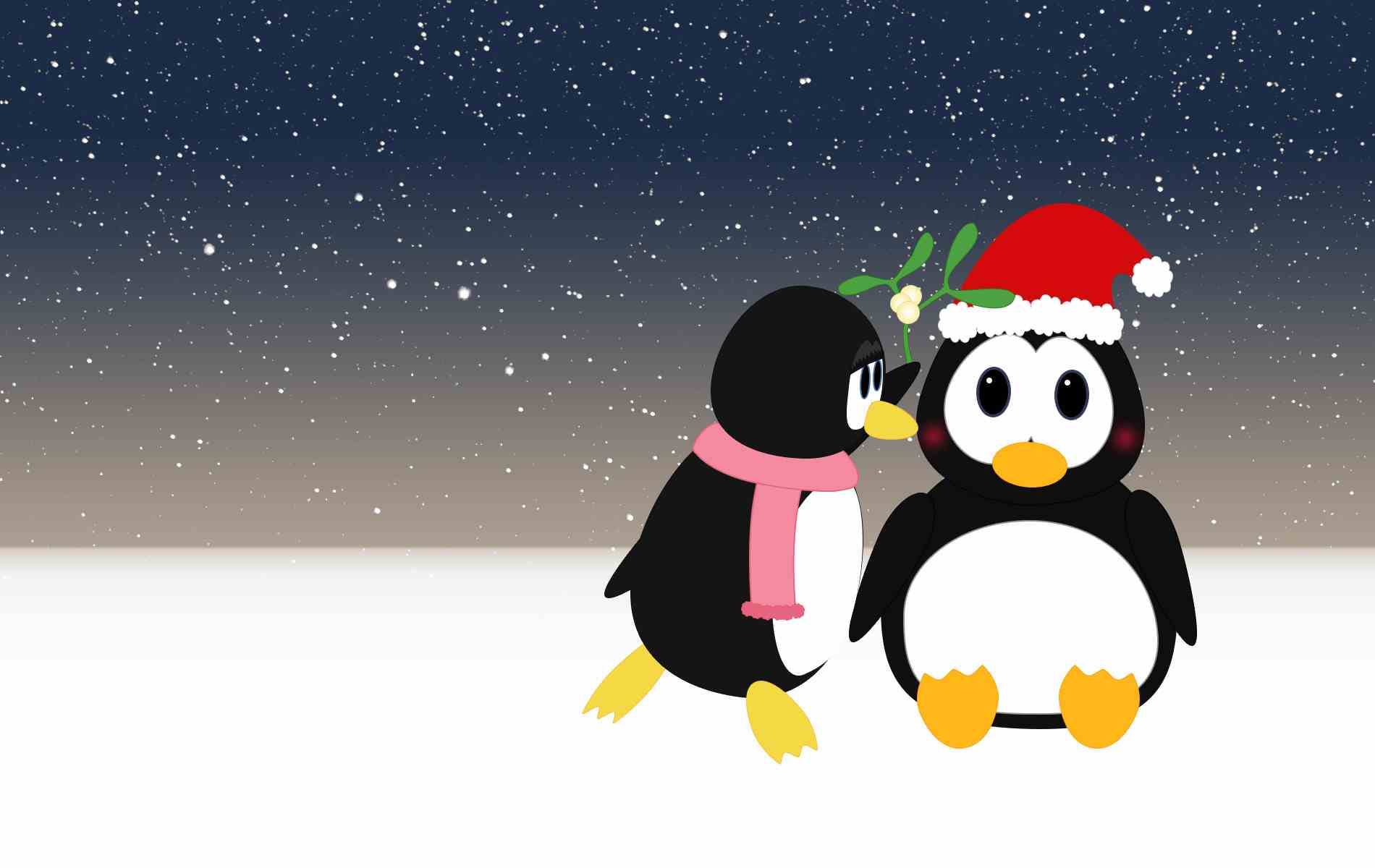 Cute Christmas Penguin HD Wallpapers from 2014 15 1900x1200