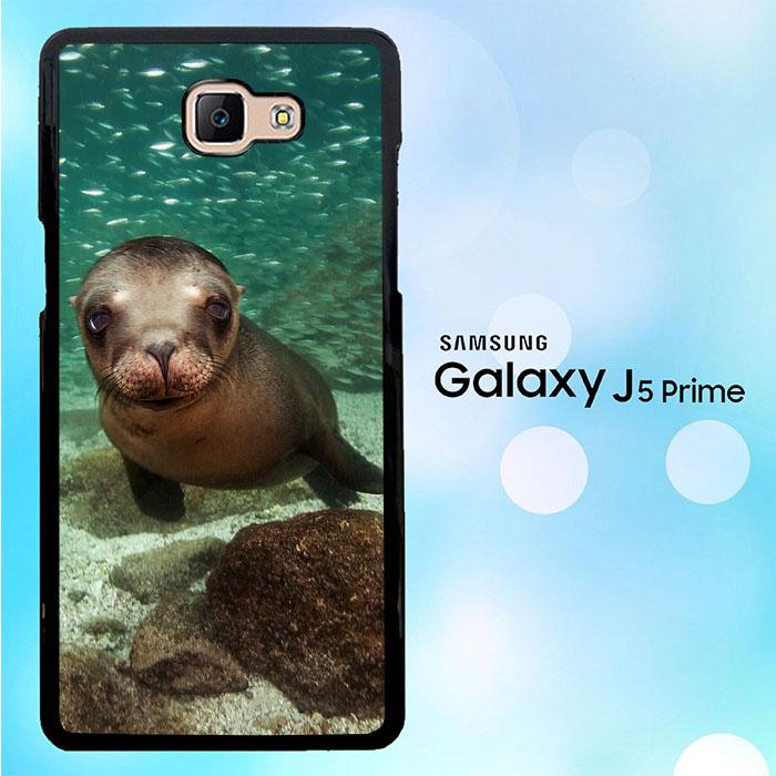 Bearded Sea Lion WALLPAPER Y1523 Samsung Galaxy J5 Prime