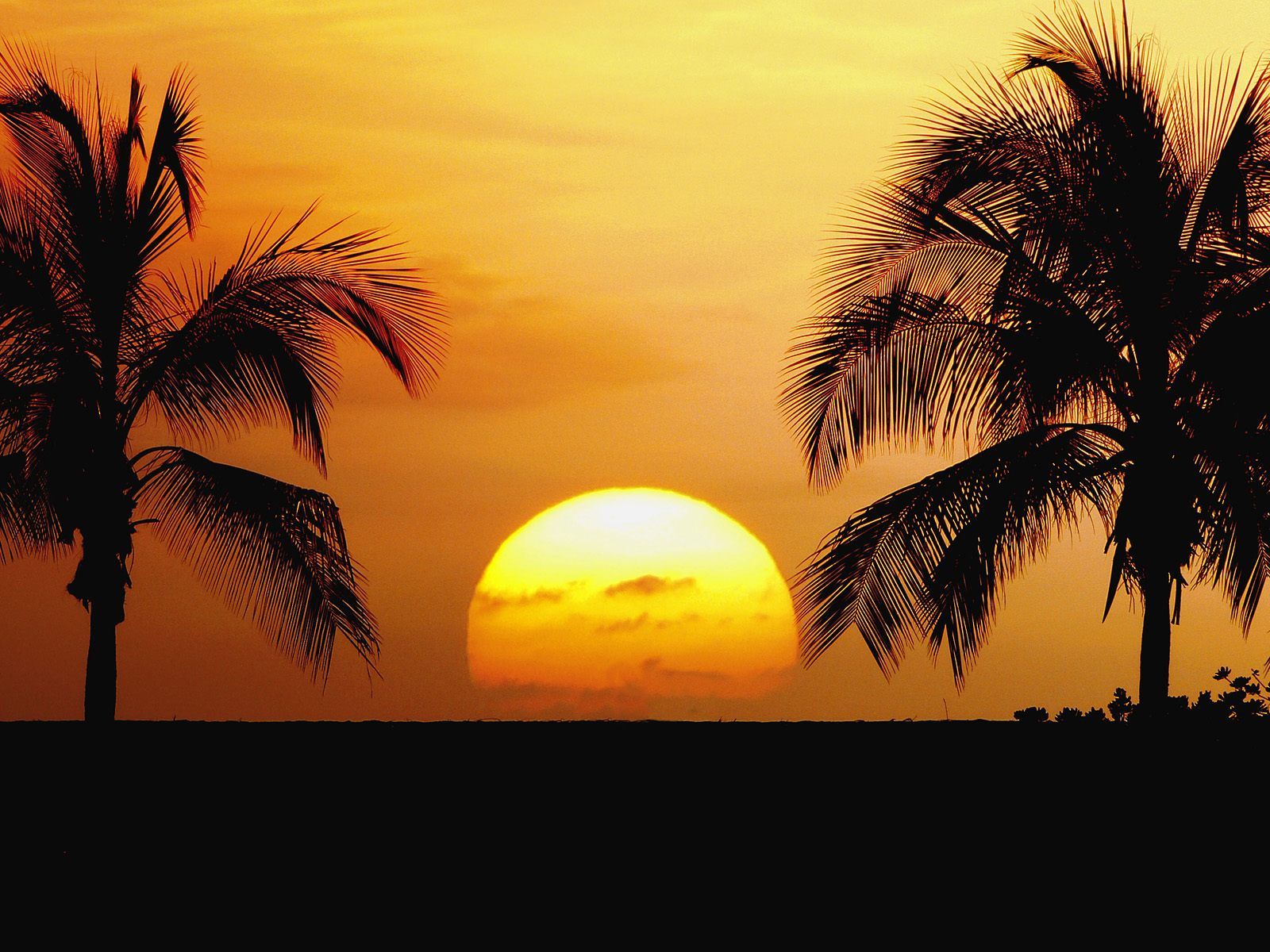 Hawaii Sunset Images amp Pictures   Becuo 1600x1200