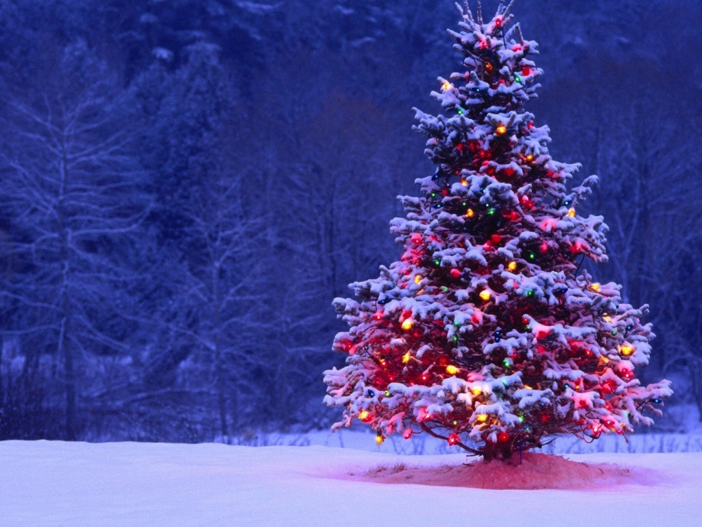 1024x768 Christmas Tree desktop PC and Mac wallpaper 1024x768