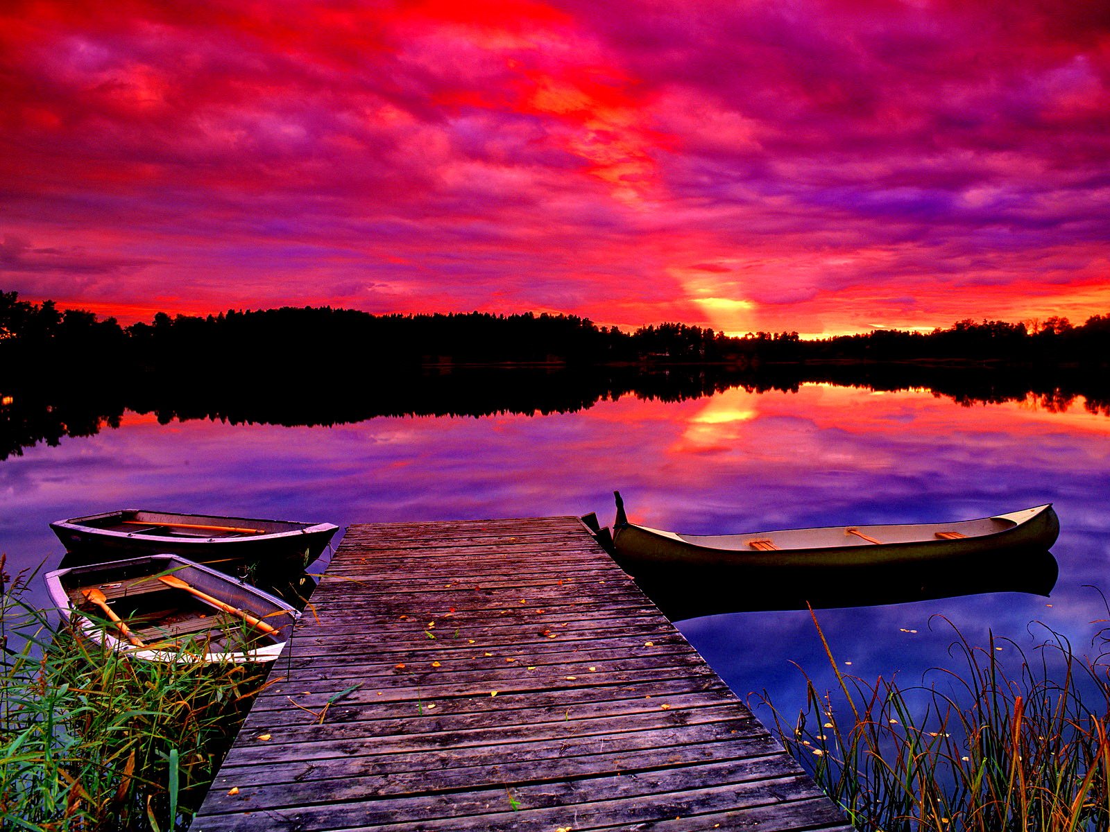 Purple sunset wallpaper   ForWallpapercom 1600x1200