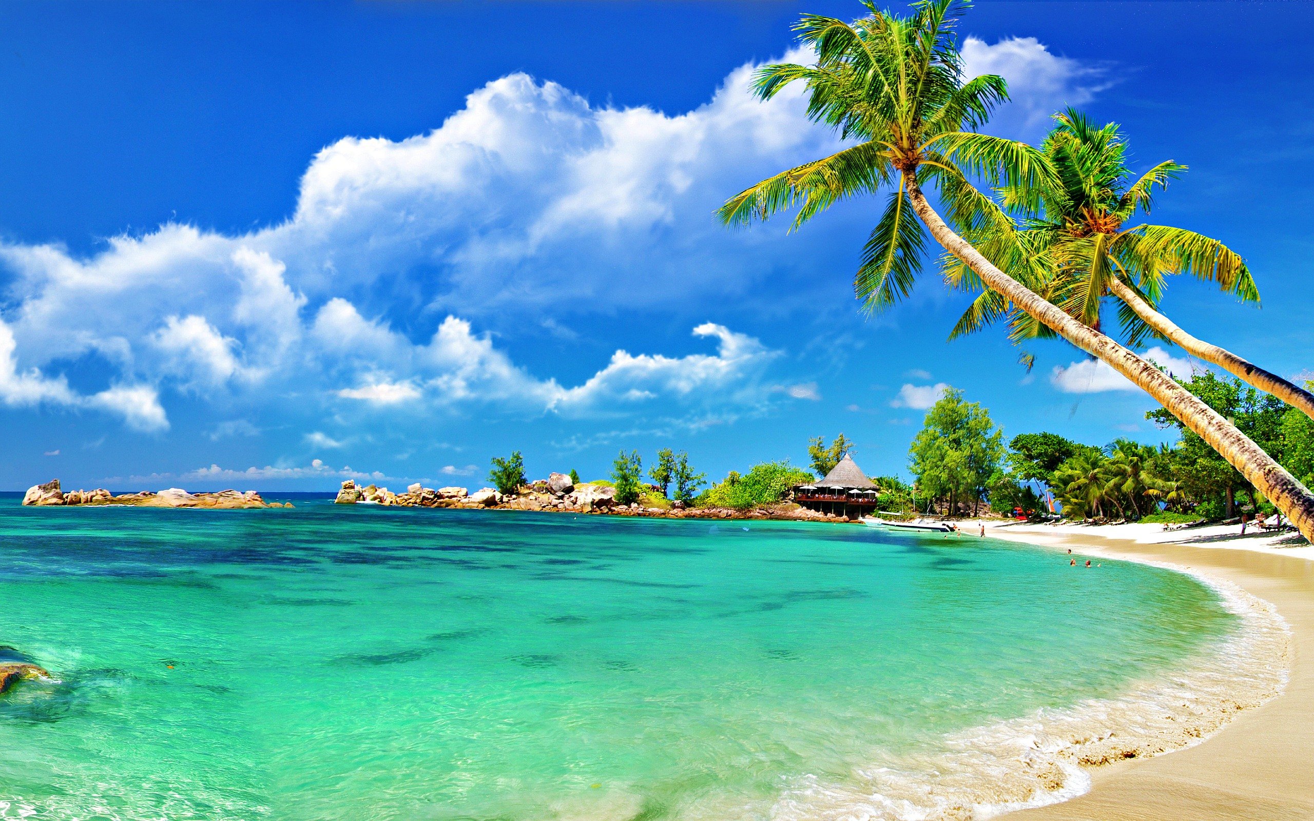 Beach Wallpaper Desktop 2560x1600