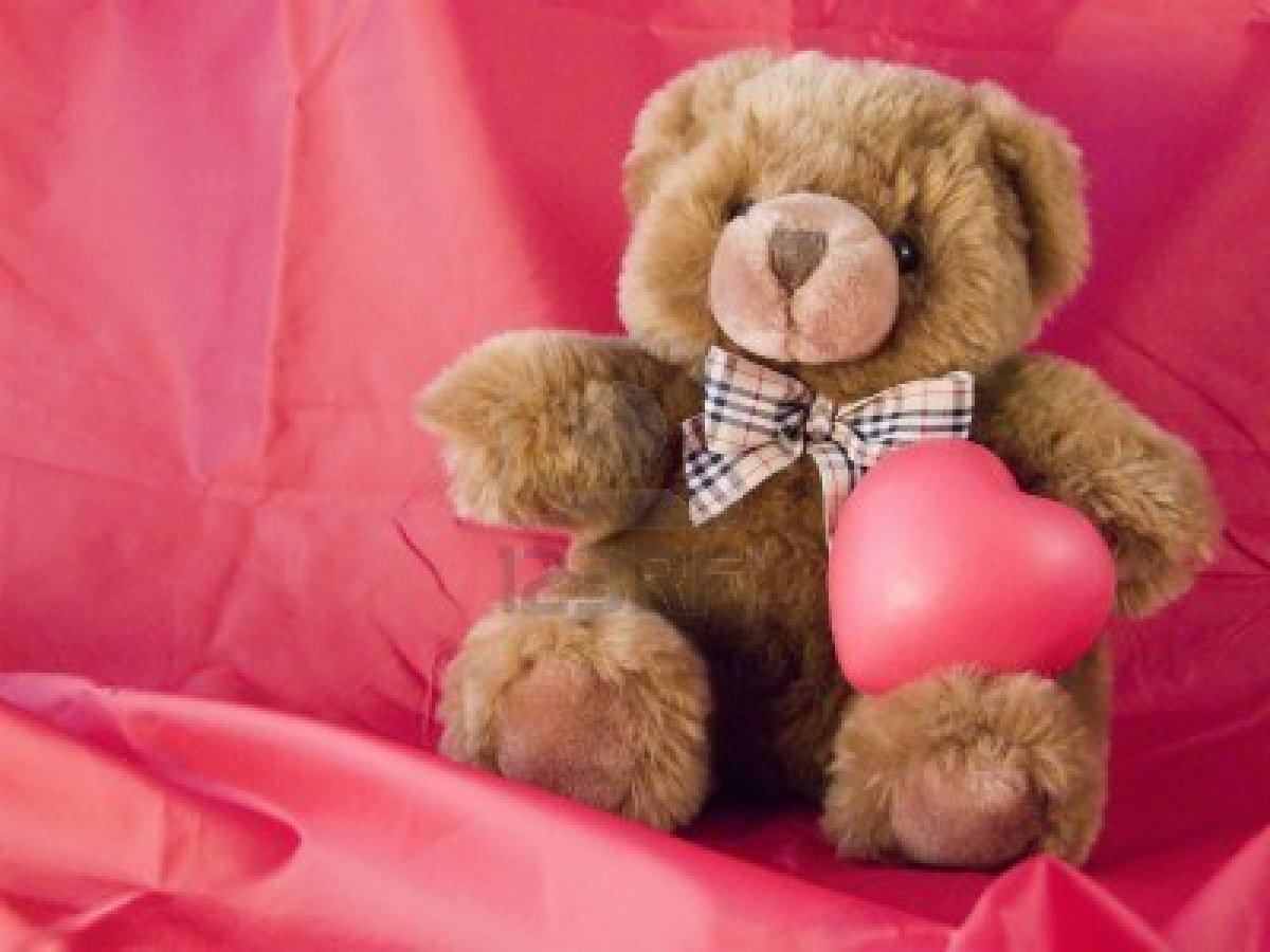 cute teddy bear pics 1200x900