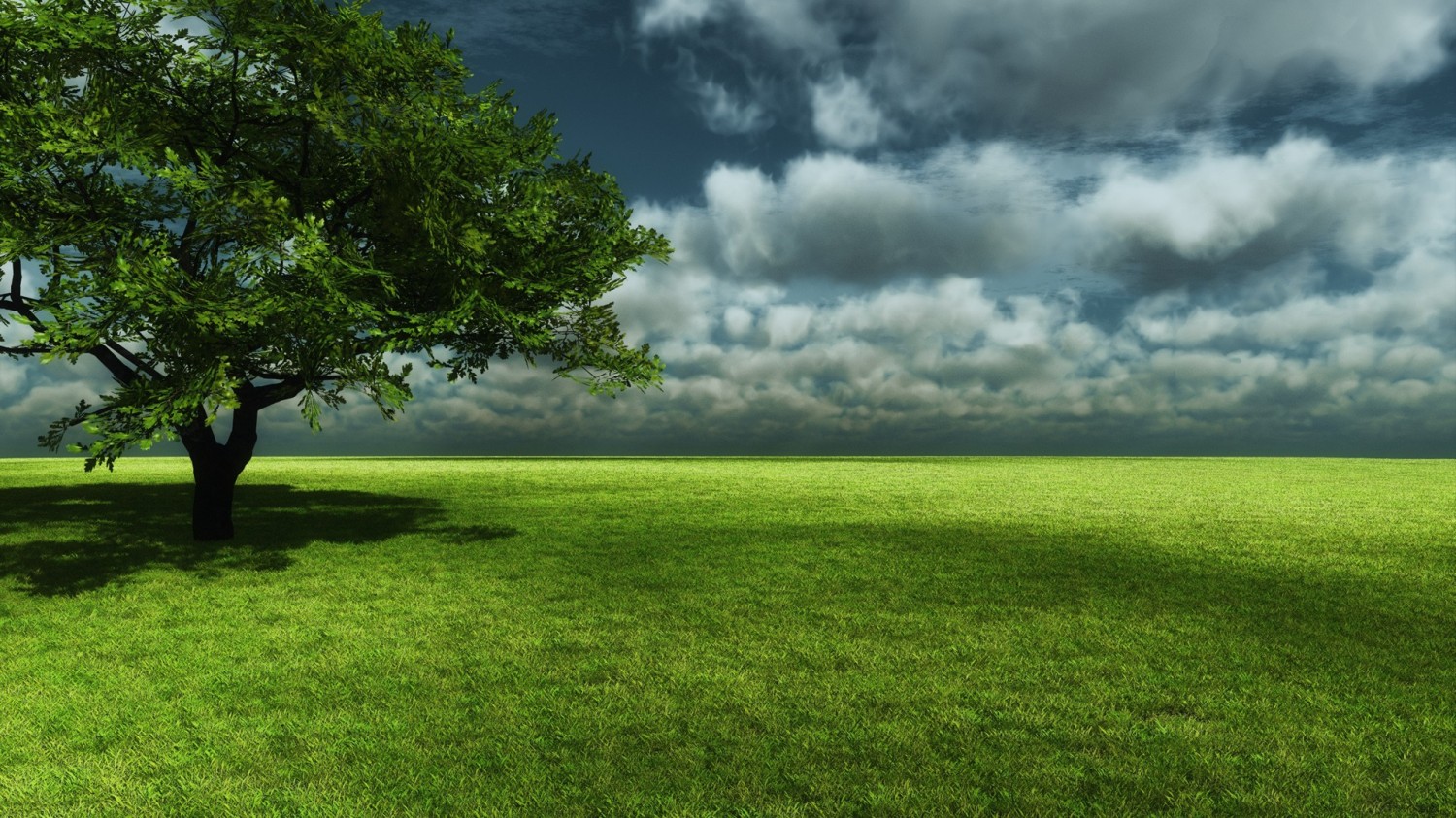 3D Nature Tree Wallpapers HD Wallpaper of Nature   hdwallpaper2013com 1500x843