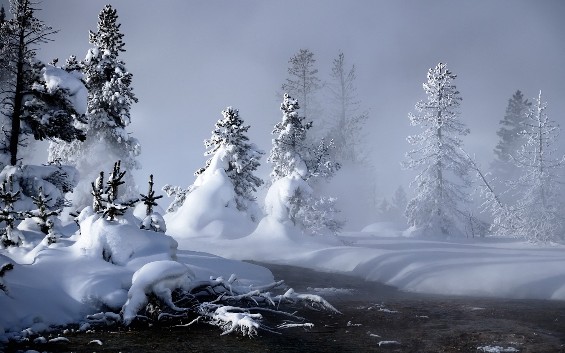 10 winter landscapes Cute wallpapers 1920x1200