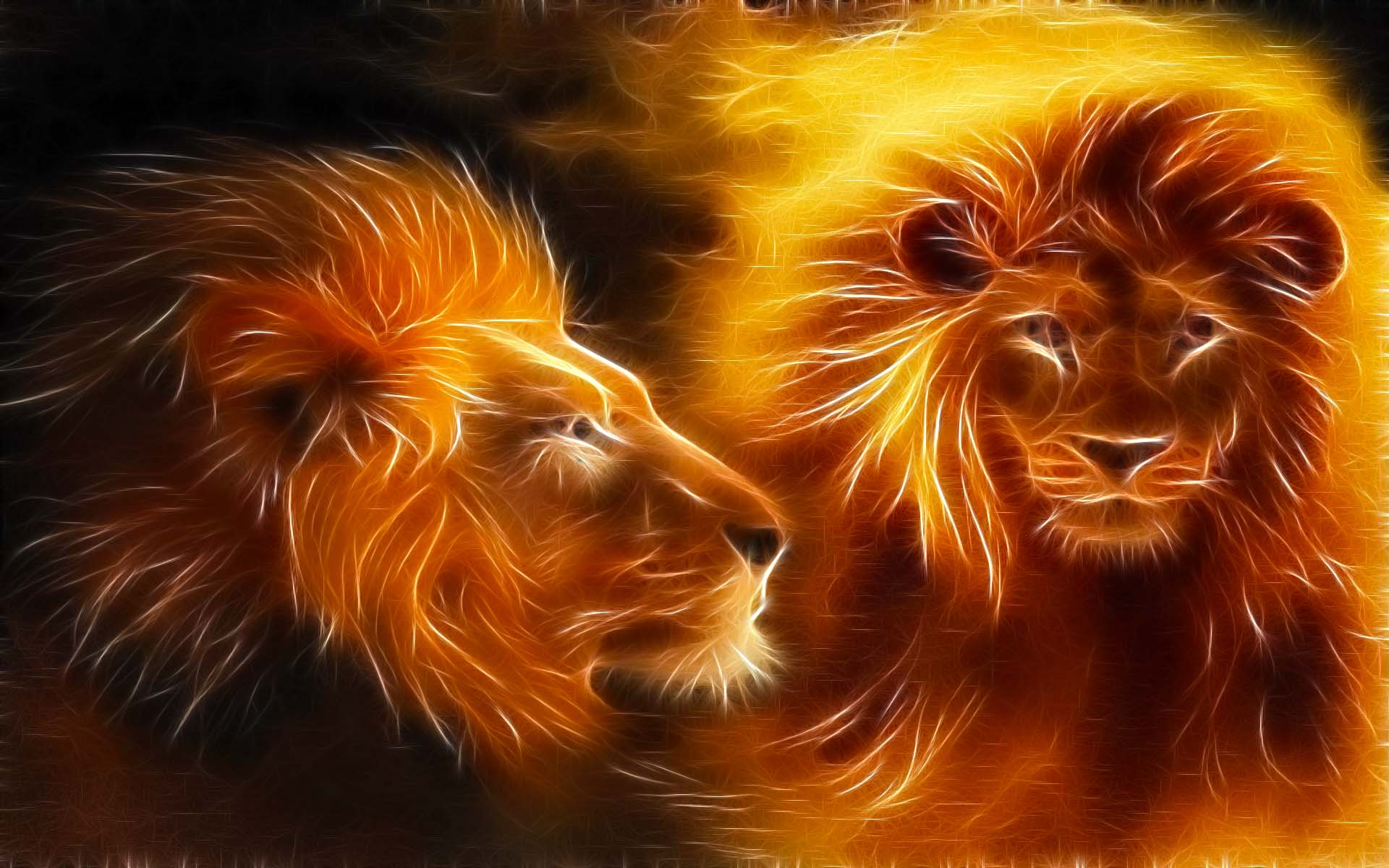 Lion Abstract Art Daily Pics Update HD Wallpapers Download 1920x1200