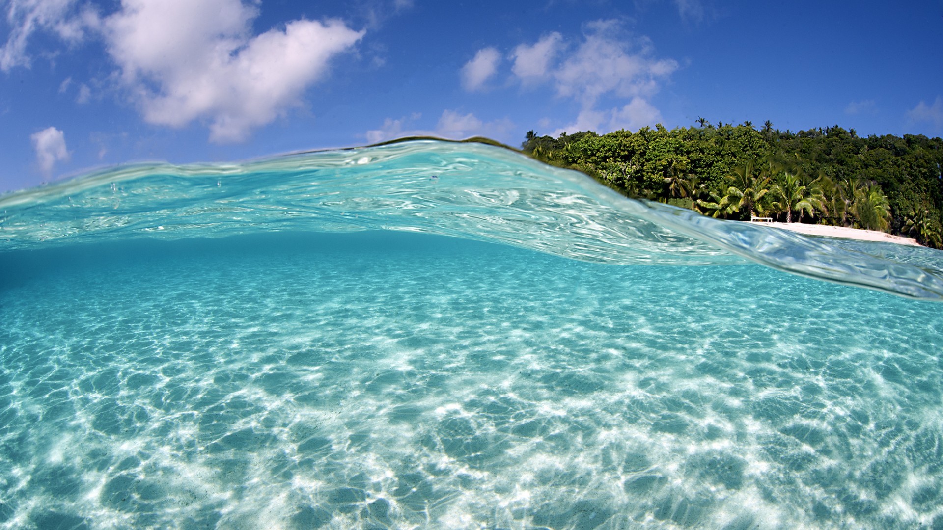 Tropical Beach In Vavau Tonga Desktop Hd Wallpaper 1920x1080