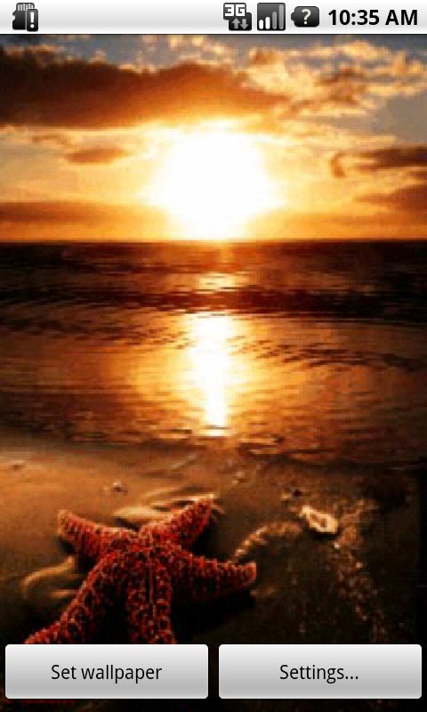 Summer Beach Sunset Wallpaper 480x800