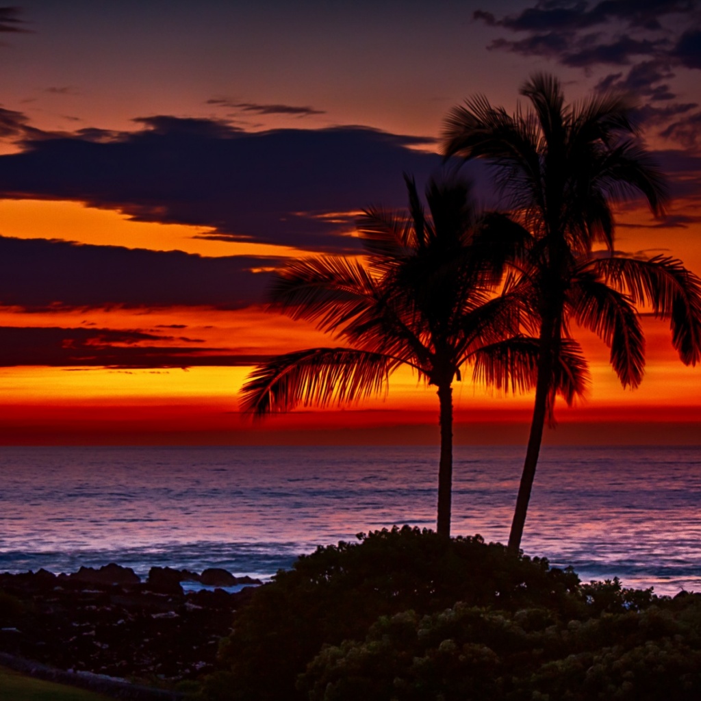 Hawaii Beach Sunset   wallpaper 1024x1024