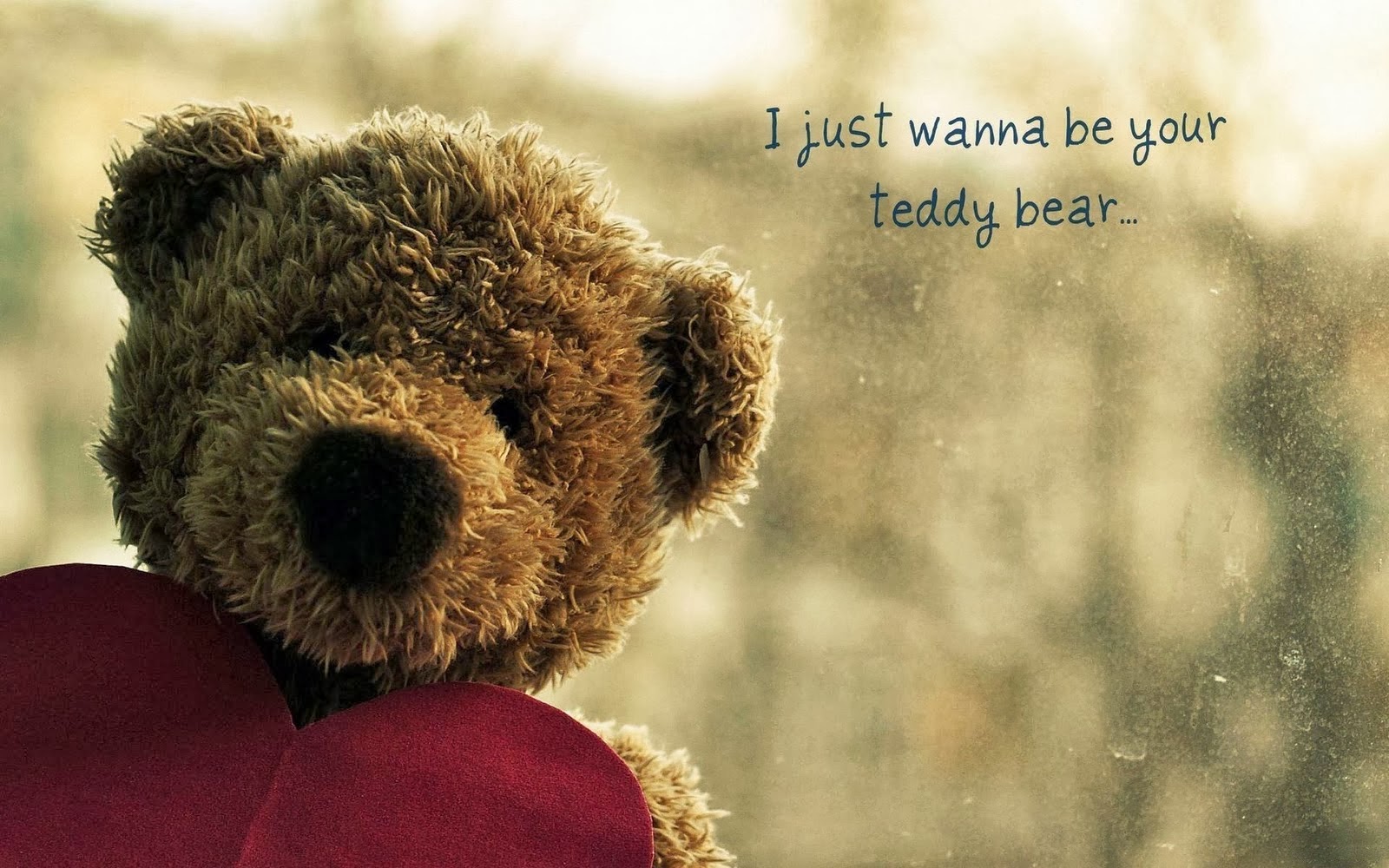 Cute Teddy Bear Pictures HD Images Download desktop Wallpapers 1600x1000