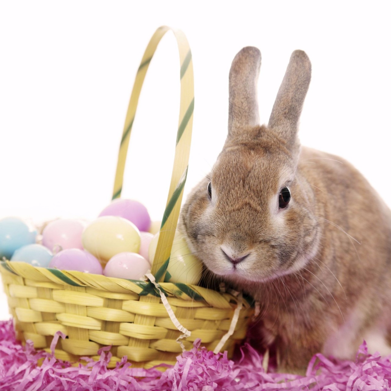 Cute Happy Easter 4K Wallpapers 4K Wallpaper 1280x1280