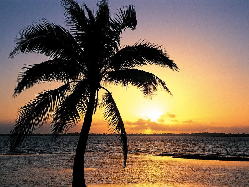 Tropical Island Sunset wallpaper   ForWallpapercom 808x606