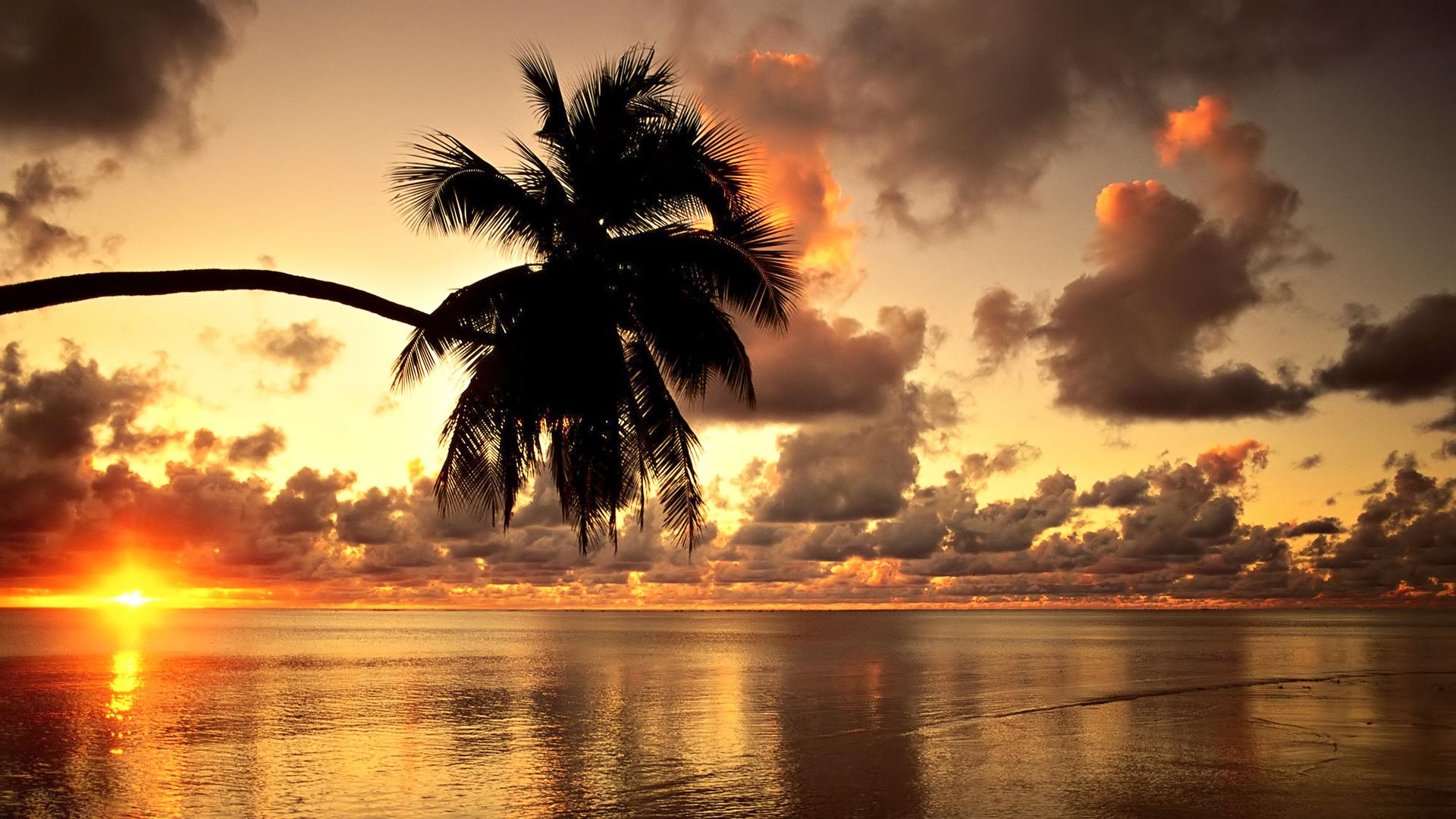 Hawaii Beach Sunset Landscape Clouds Nature 1920x1080