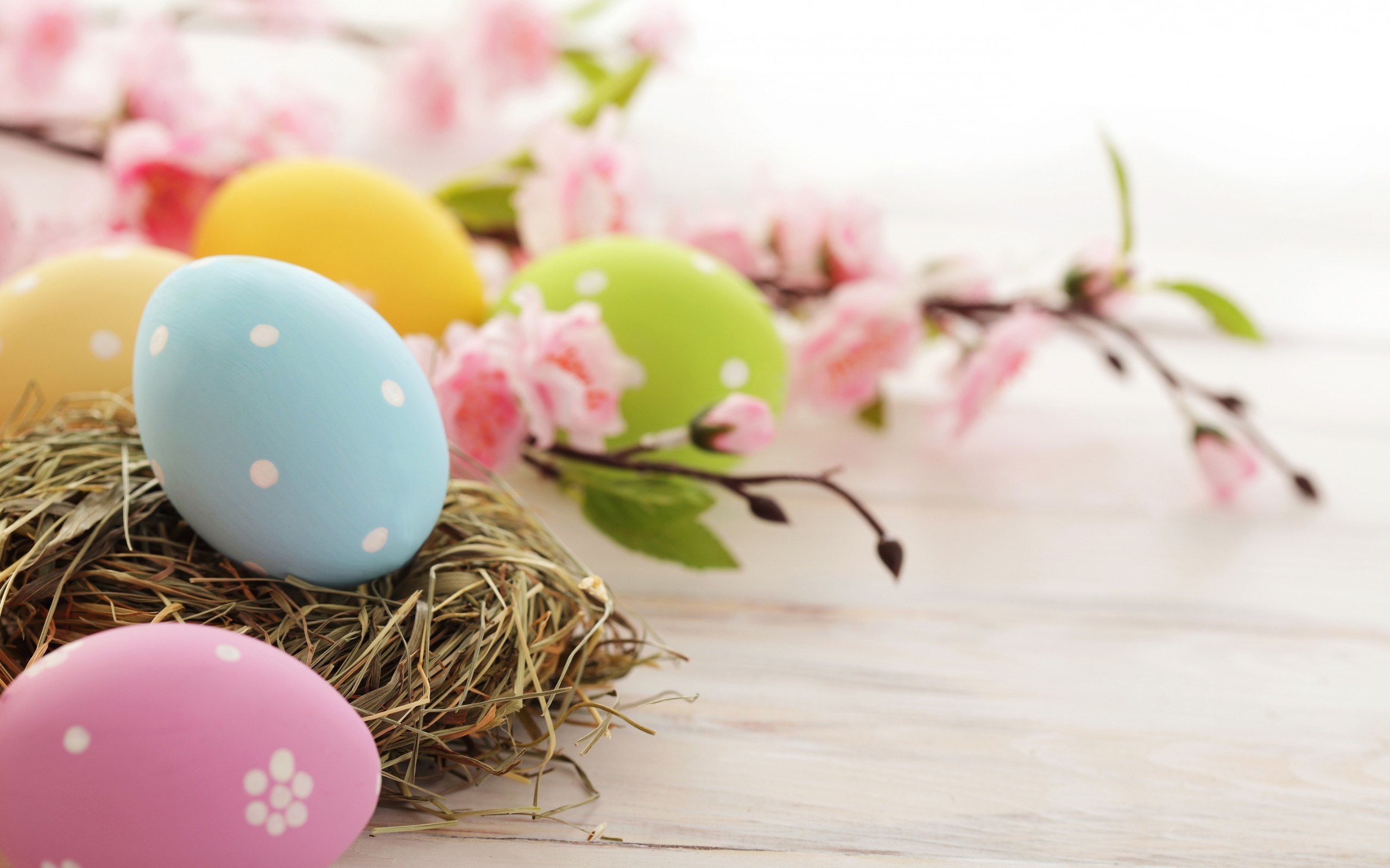 Easter Wallpaper Apple HD Wallpaper 2560x1600