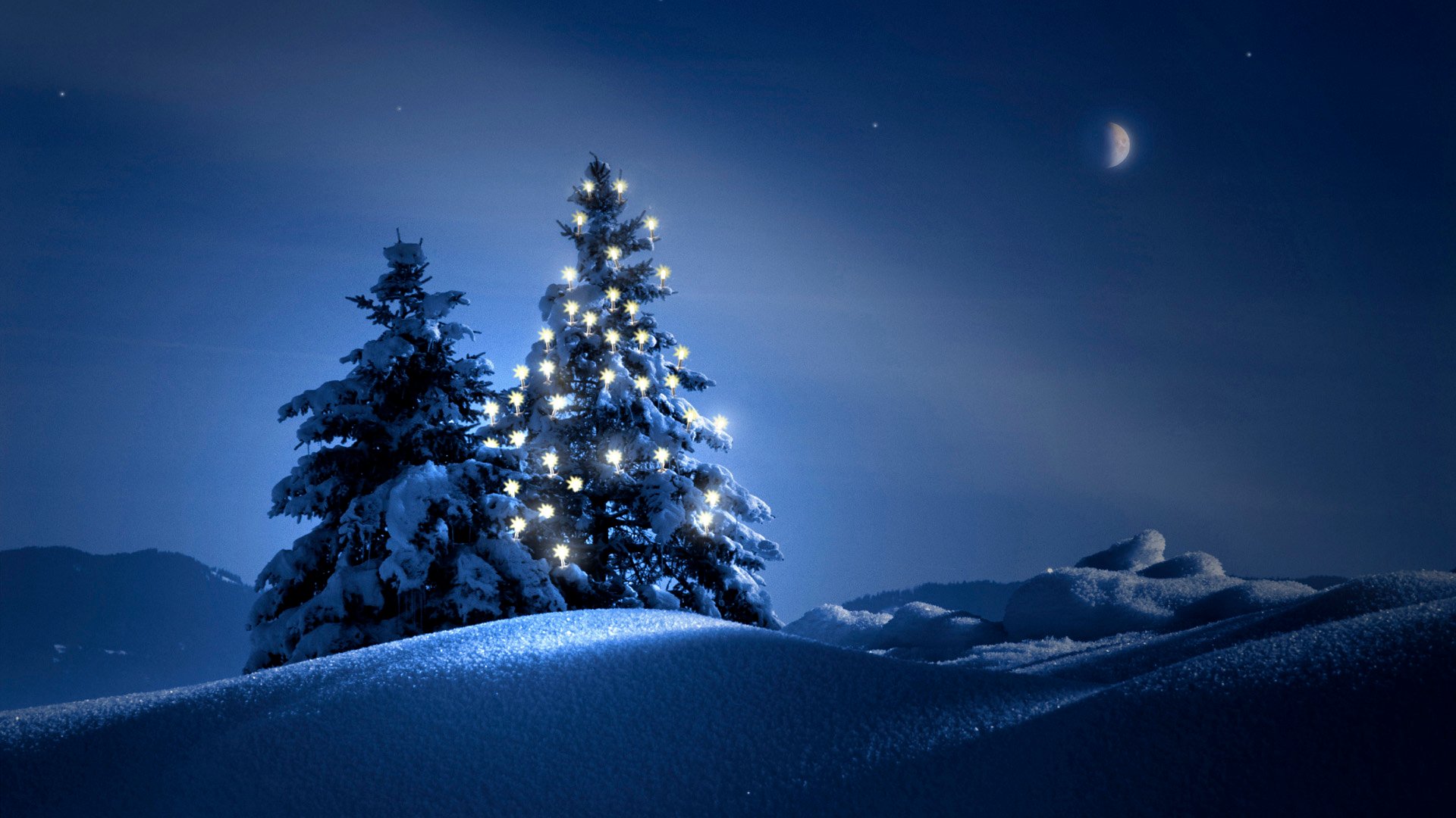 Christmas Tree Wallpapers Desktop Wallpapers 1920x1080