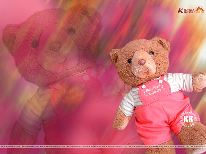 Teddy Bear download desktop Cute Teddy Bear wallpapers Teddy Bear 800x600