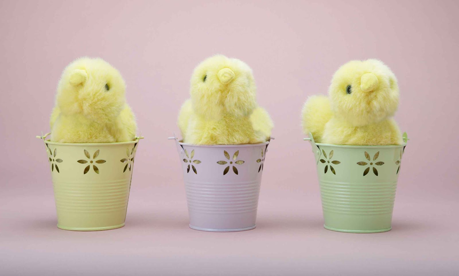 Cute Easter Chicks Wallpapers Cool Christian Wallpapers 1600x962