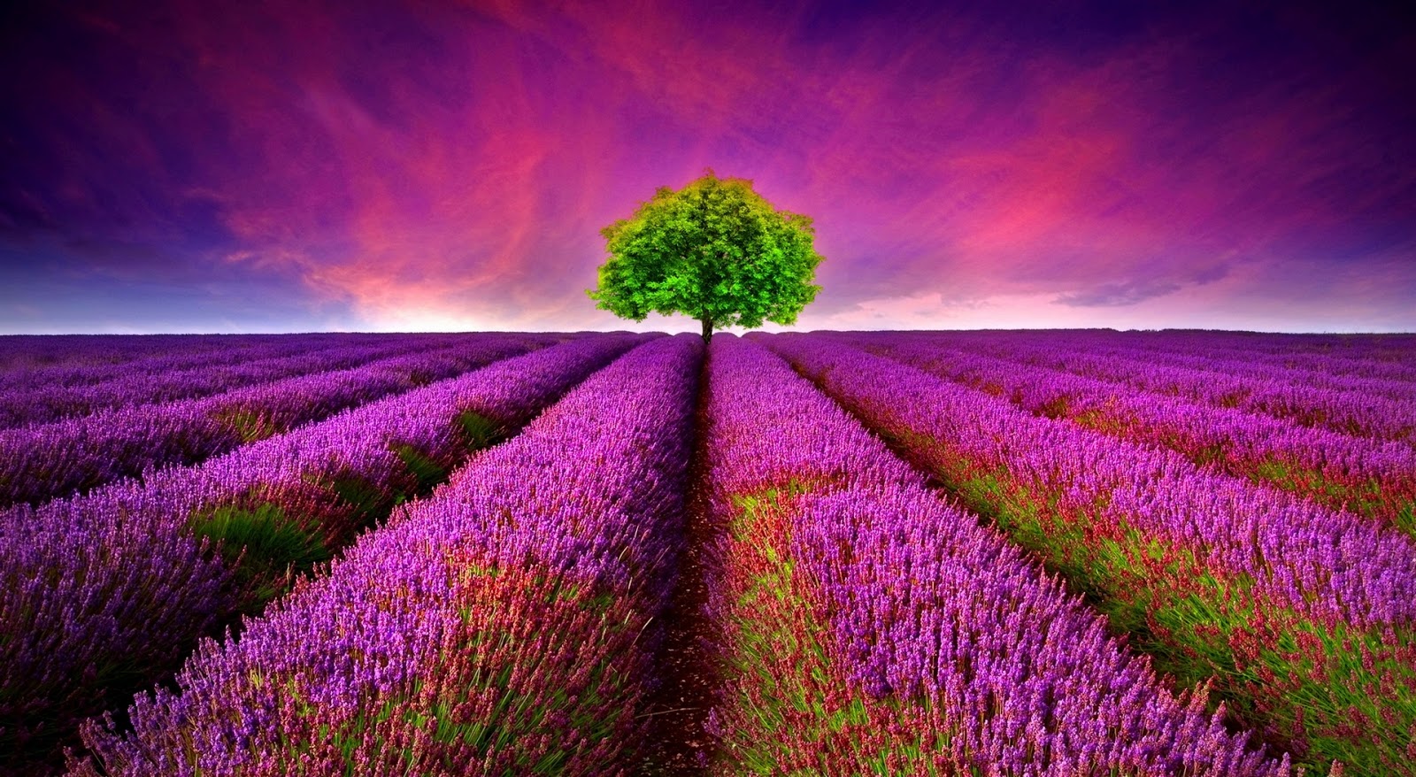 Beautiful Nature Wallpapers Collection Most beautiful 1600x878
