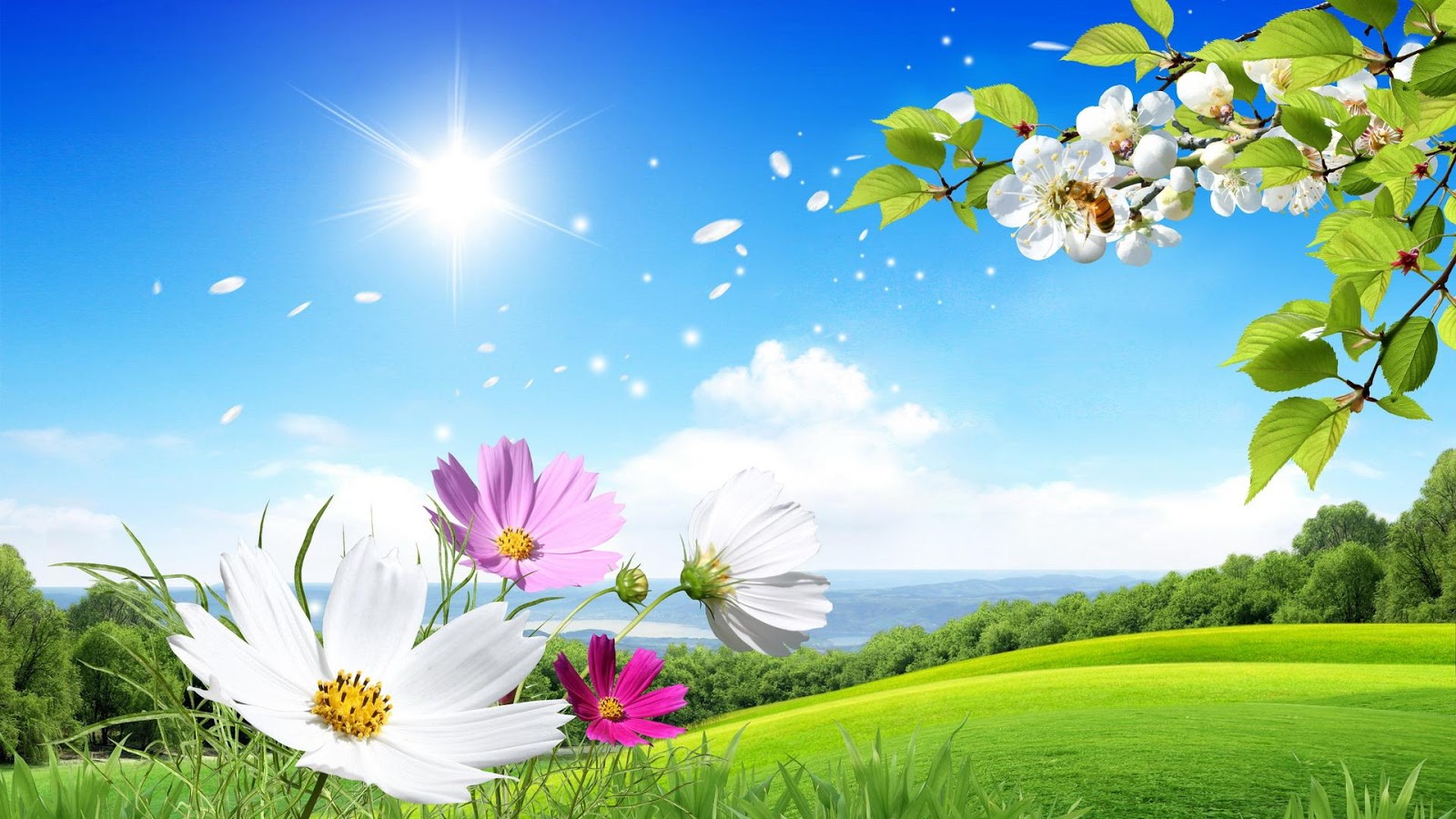 Flowers wallpapers natural sceneries   Flower Wallpaper 1600x900