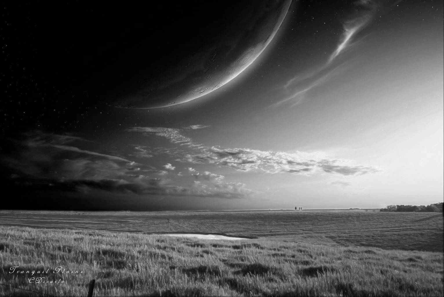 Black and White Wallpapers HD Black and White Scenic Landscape 1532x1024