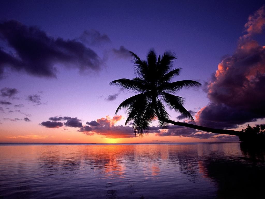  beach scenery sunset wallaper tropical island beach scenery sunset 1024x768