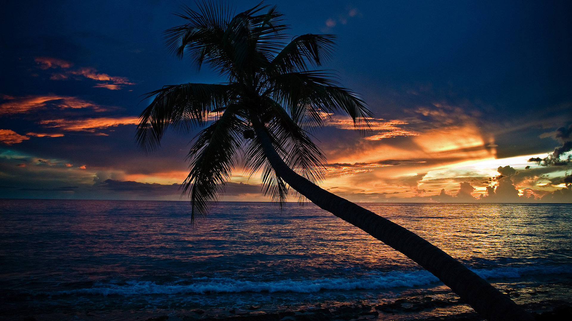 Beach At Night Wallpapers Download 1920x1080