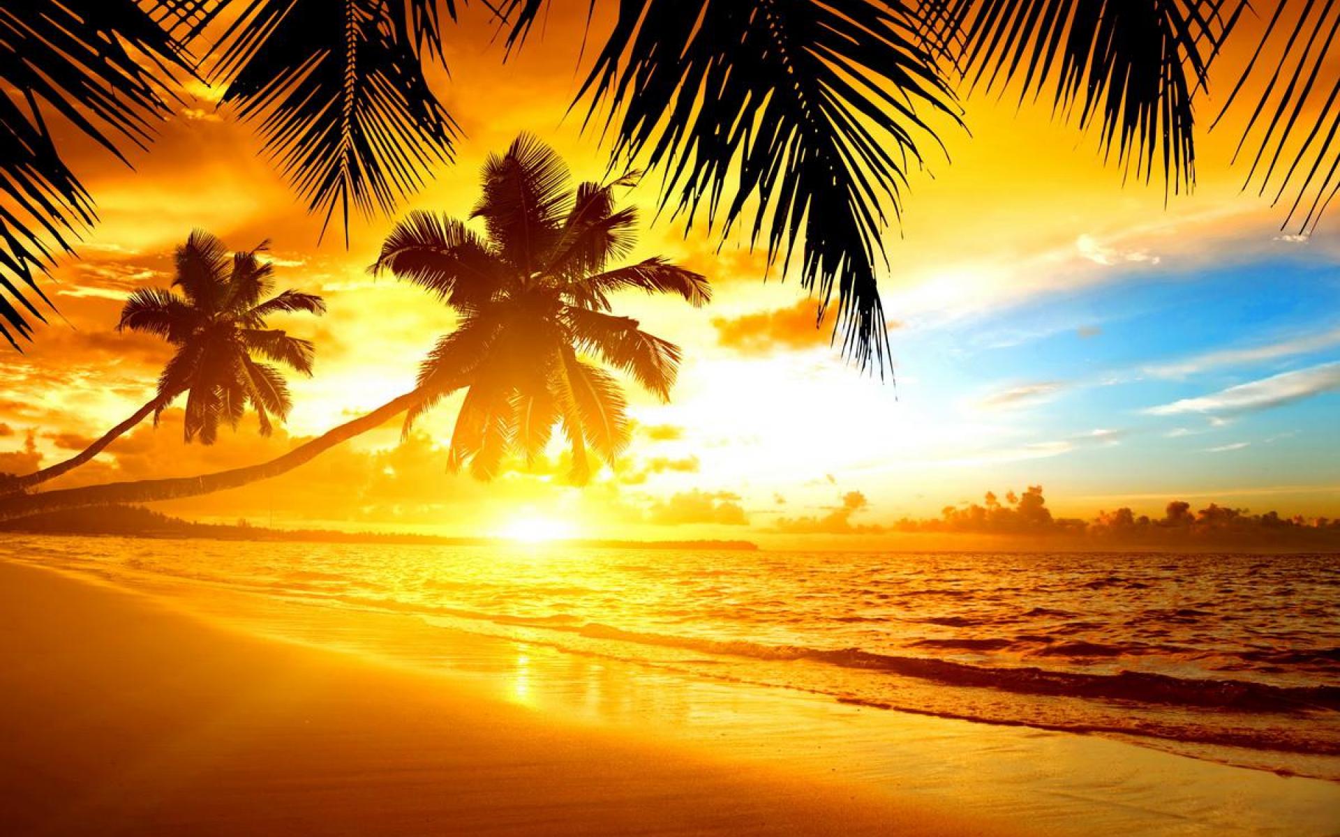 Tropical Beach sunset Wallpaper Live HD Wallpaper HQ 1920x1200