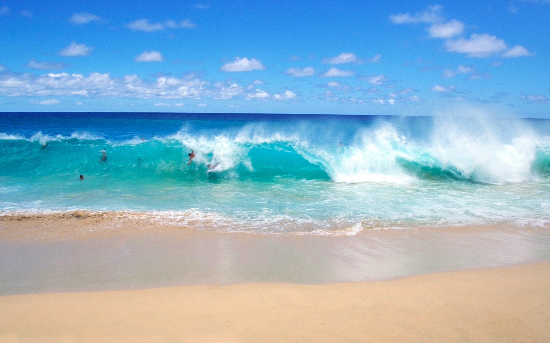 Fun on the playful ocean waves wallpaper   Beach Wallpapers 1920x1200