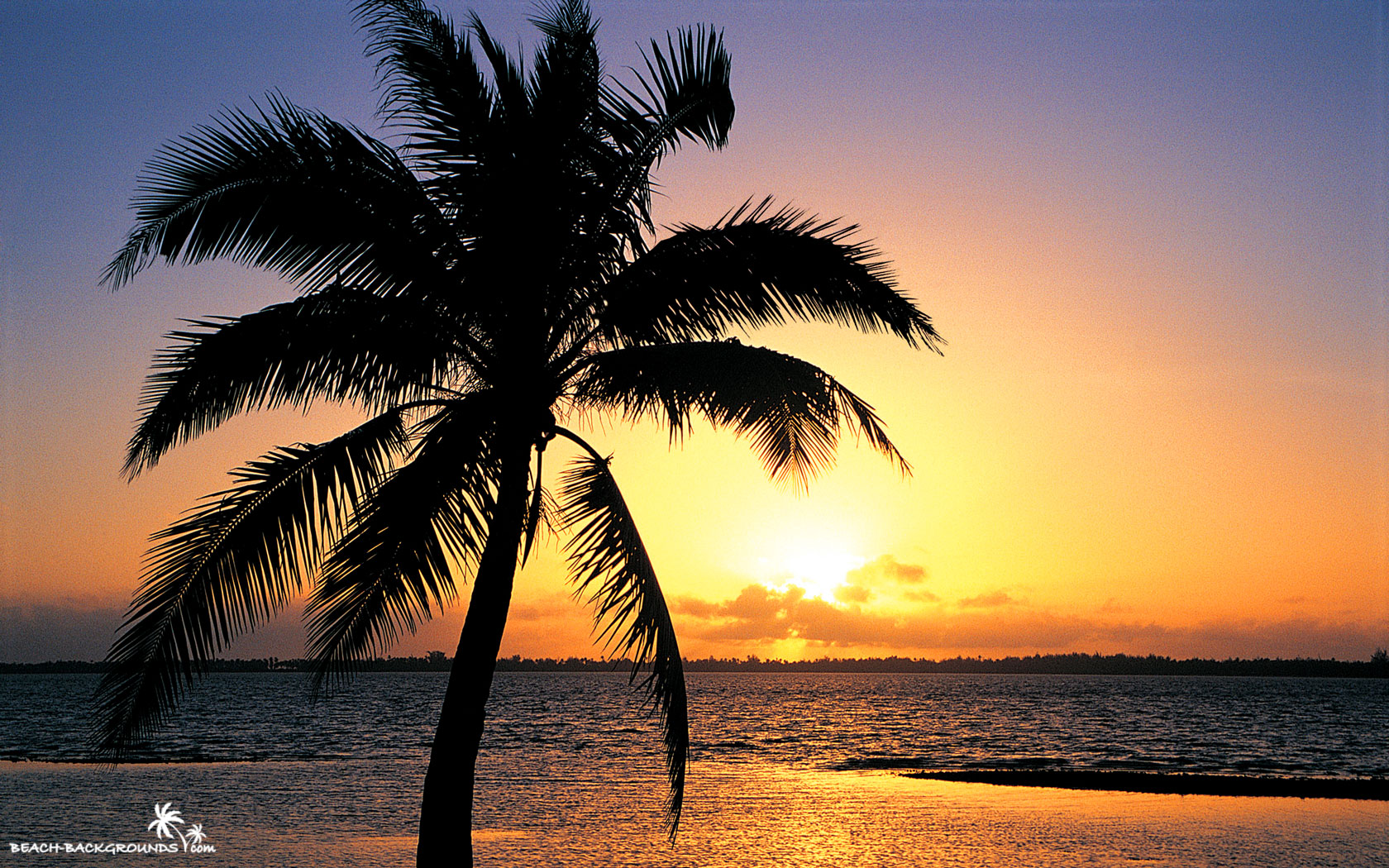 orange sunset on the tropic beach background 16802151050 1680x1050