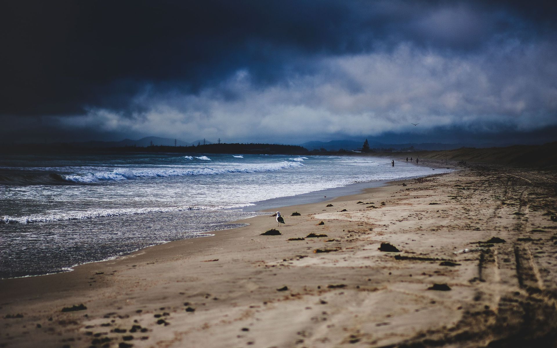 Download Stormy sky over the ocean wallpaper 1920x1200