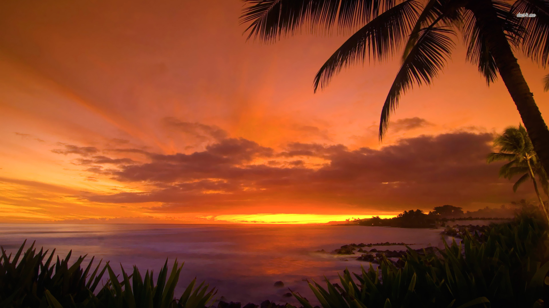 Hawaii Sunset wallpaper 1920x1080