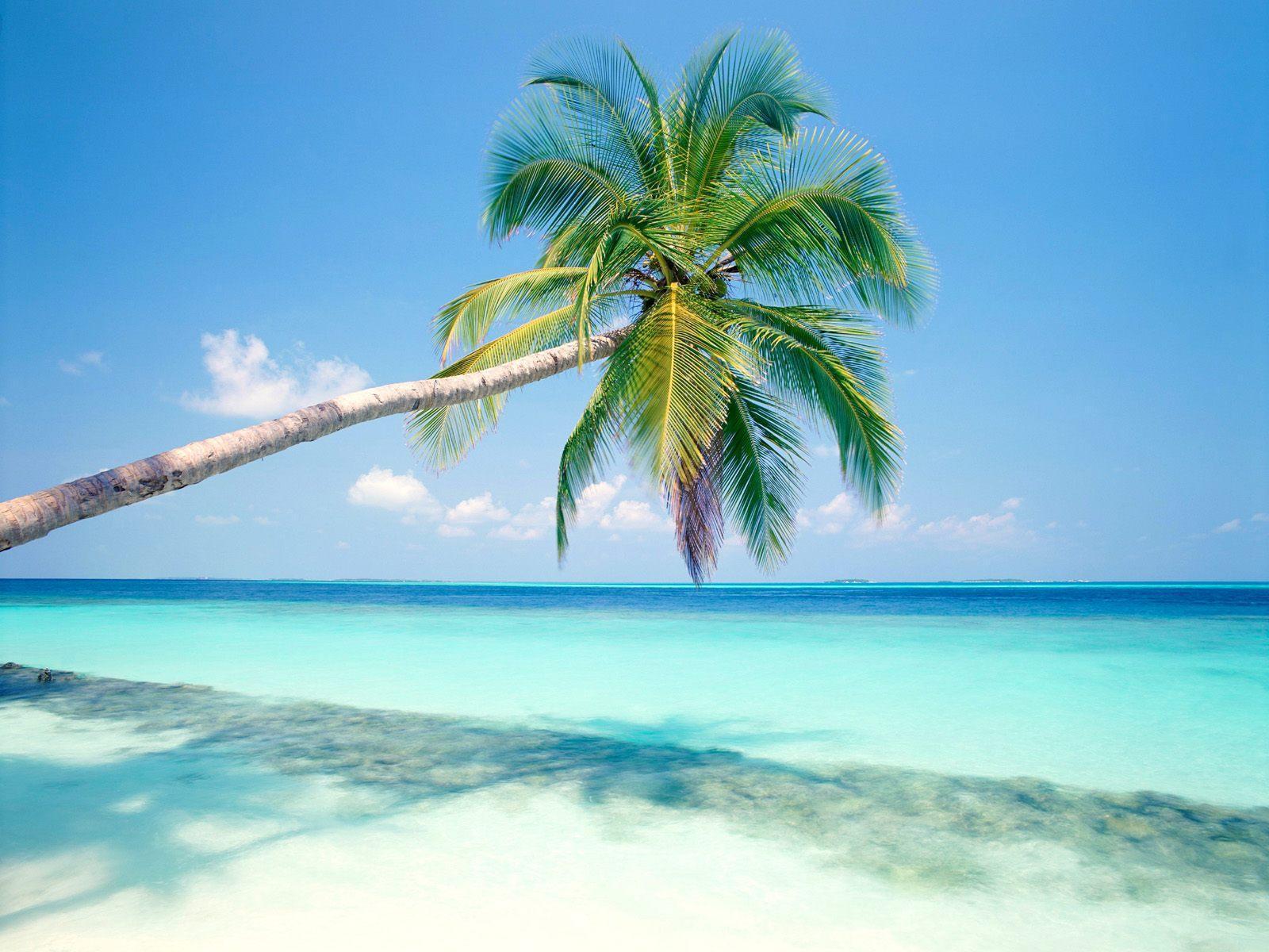 Tropical Island Desktop Wallpapers 1600x1200