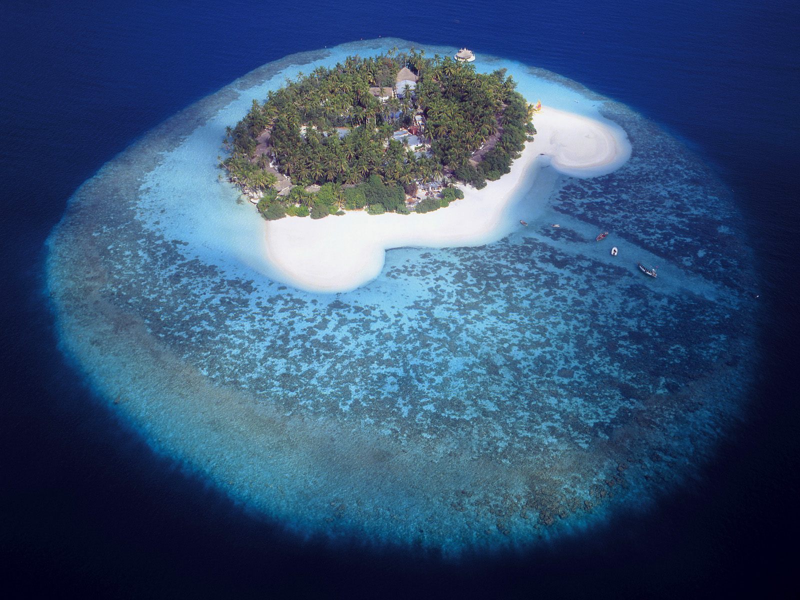 Maldives Islands of the Maldives   The Maldives Honeymoon 1600x1200