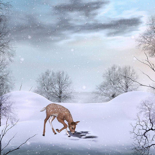 Cute Winter Background with Deer 600x600