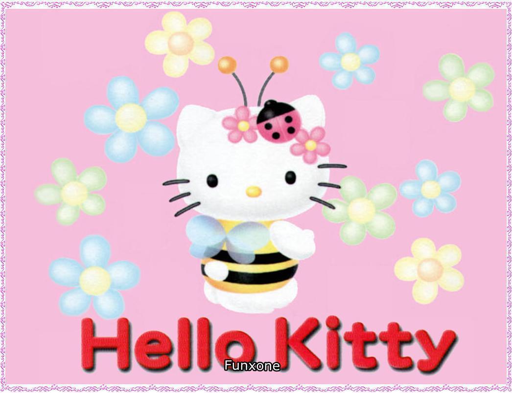 Cute Hello Kitty Wallpapers 1046x804
