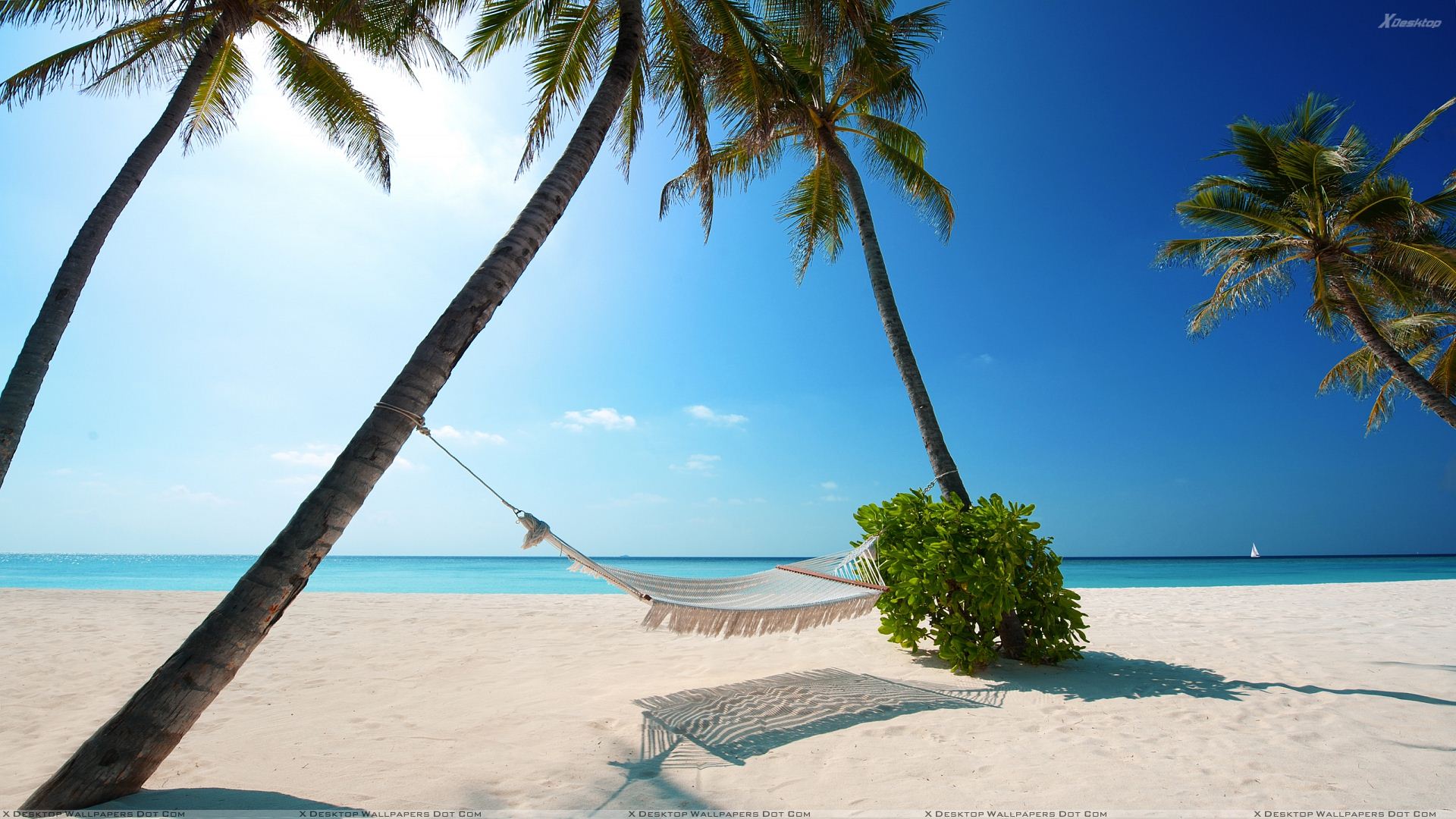 Maldives Islands Beach Scene Wallpaper 1920x1080