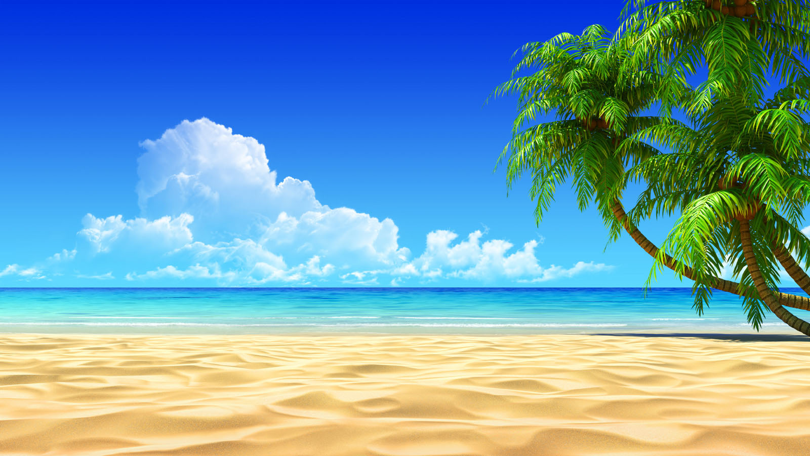 Beach HD Wallpapers Desktop Pictures One HD Wallpaper 1600x900