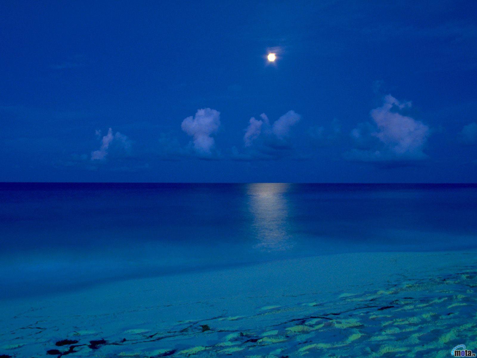 Beach At Night Wallpapers Download Wallpapercraft 1600x1200