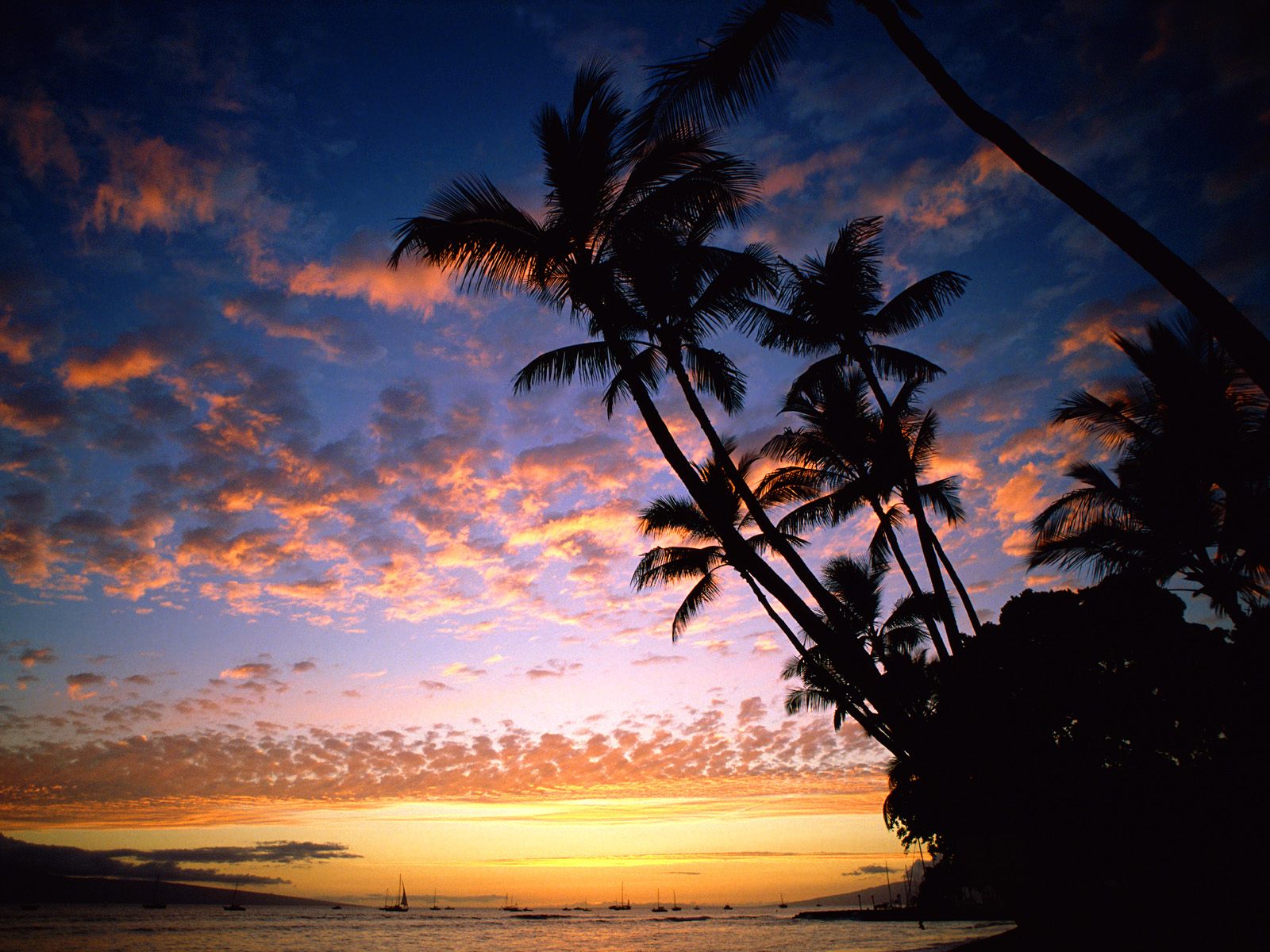 Hawaii Beach Sunset Wallpaper 1600x1200