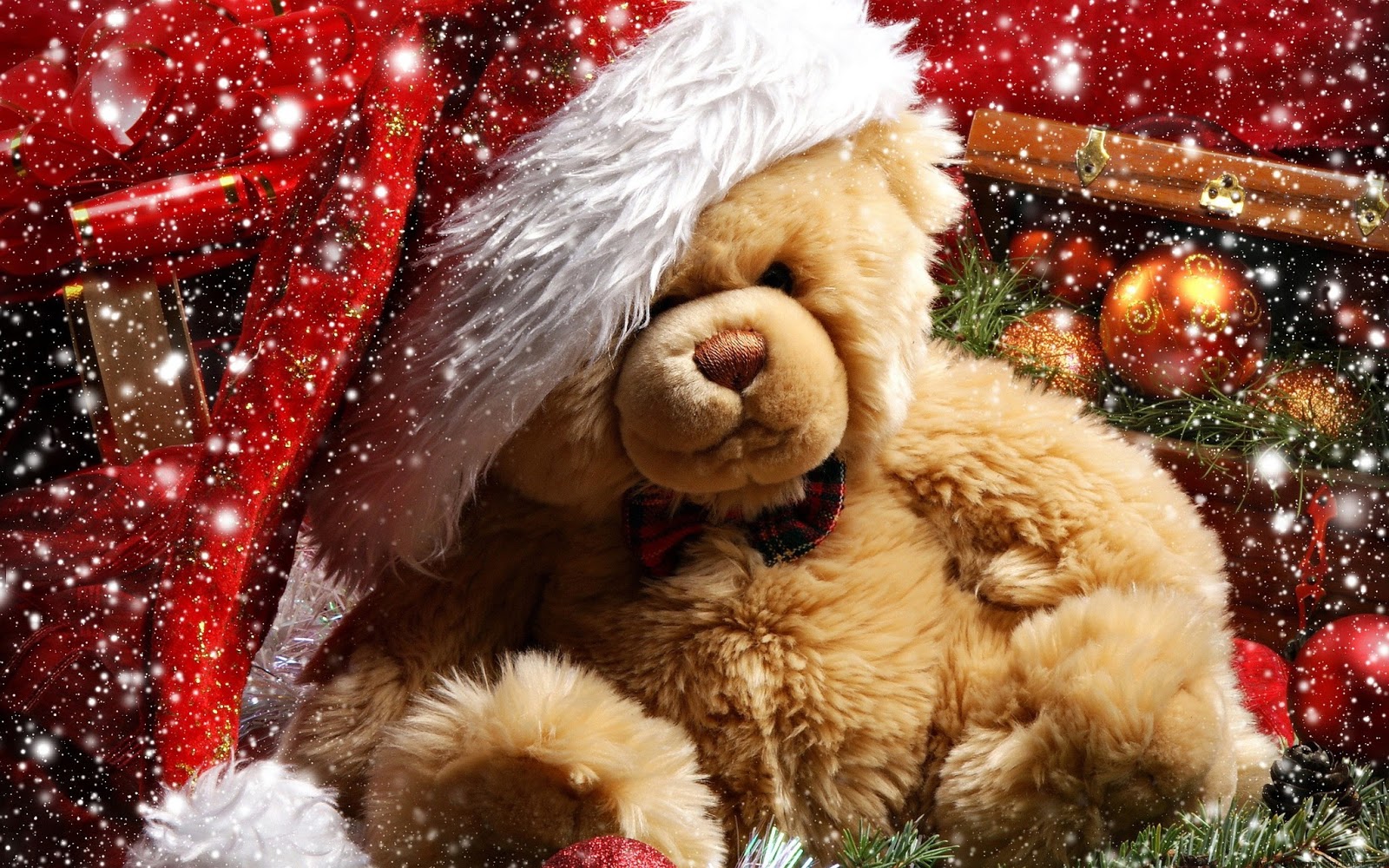 happy Teddy Day 2014  Teddy bear HD wallpapers and Quotes Valentine 1600x1000