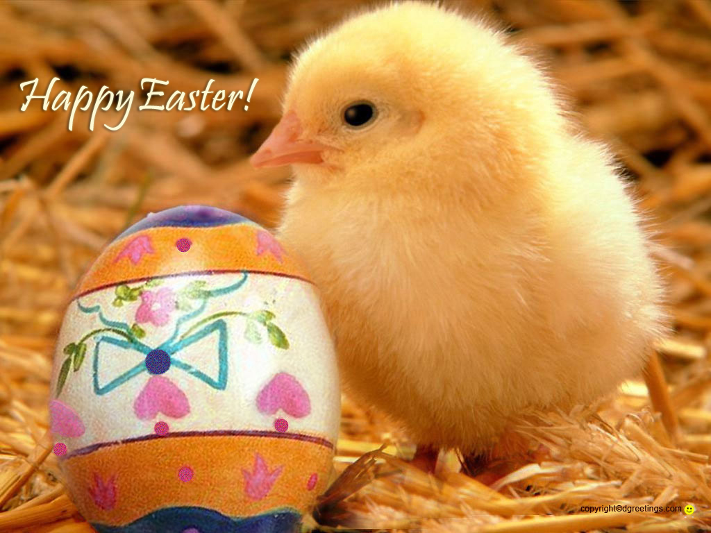 Cute Easter Wallpaper   Viewing Gallery 1024x768