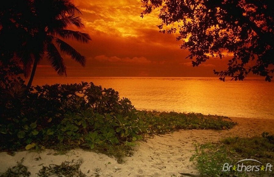 Download Sunset Beach Theme Sunset Beach Theme 22 Download 898x581