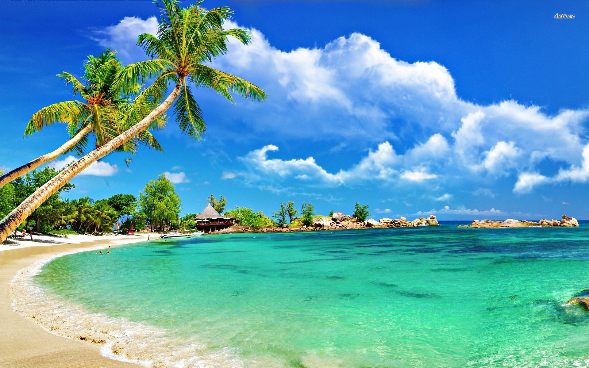 Tropical Beach wallpapers HD   446440 1920x1200