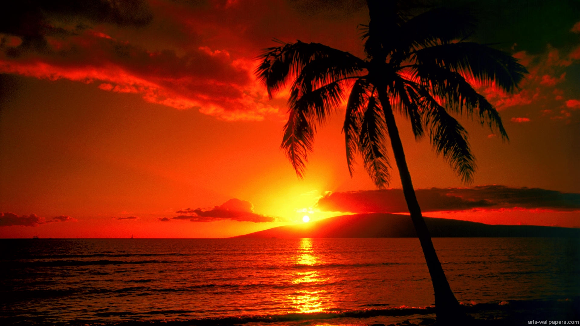 tropical island sunset hd wallpapers tropical island sunset hd 1920x1080