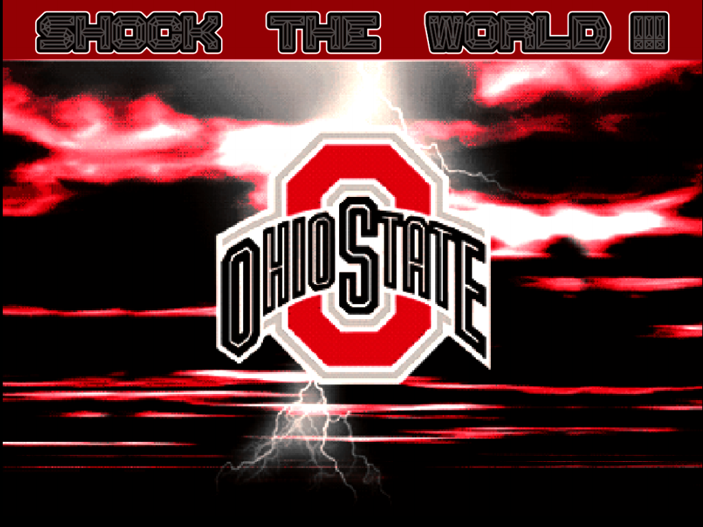  THE WORLD   Ohio State Football Wallpaper 24264998 1024x768