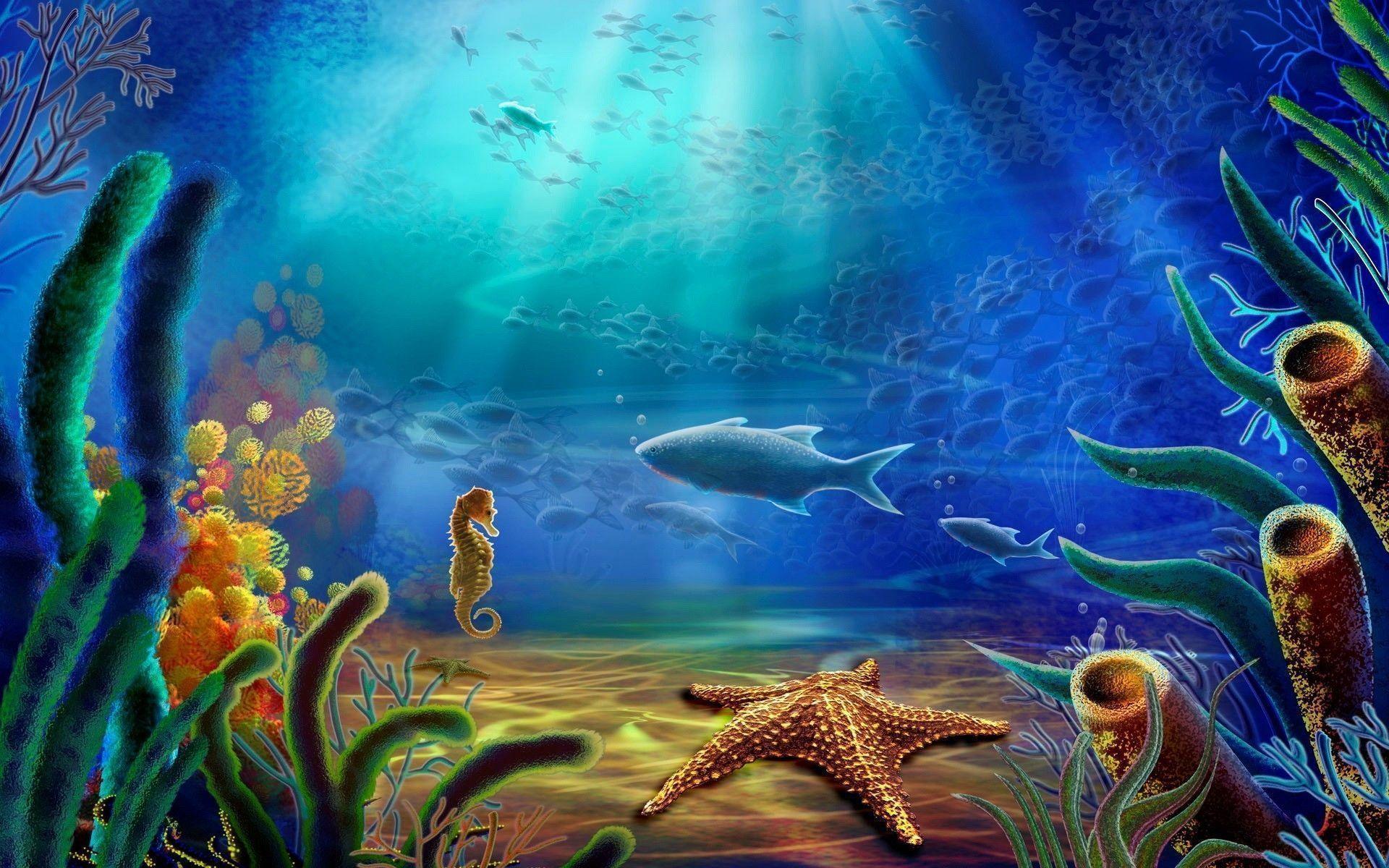 Ocean Life Wallpapers 1920x1200