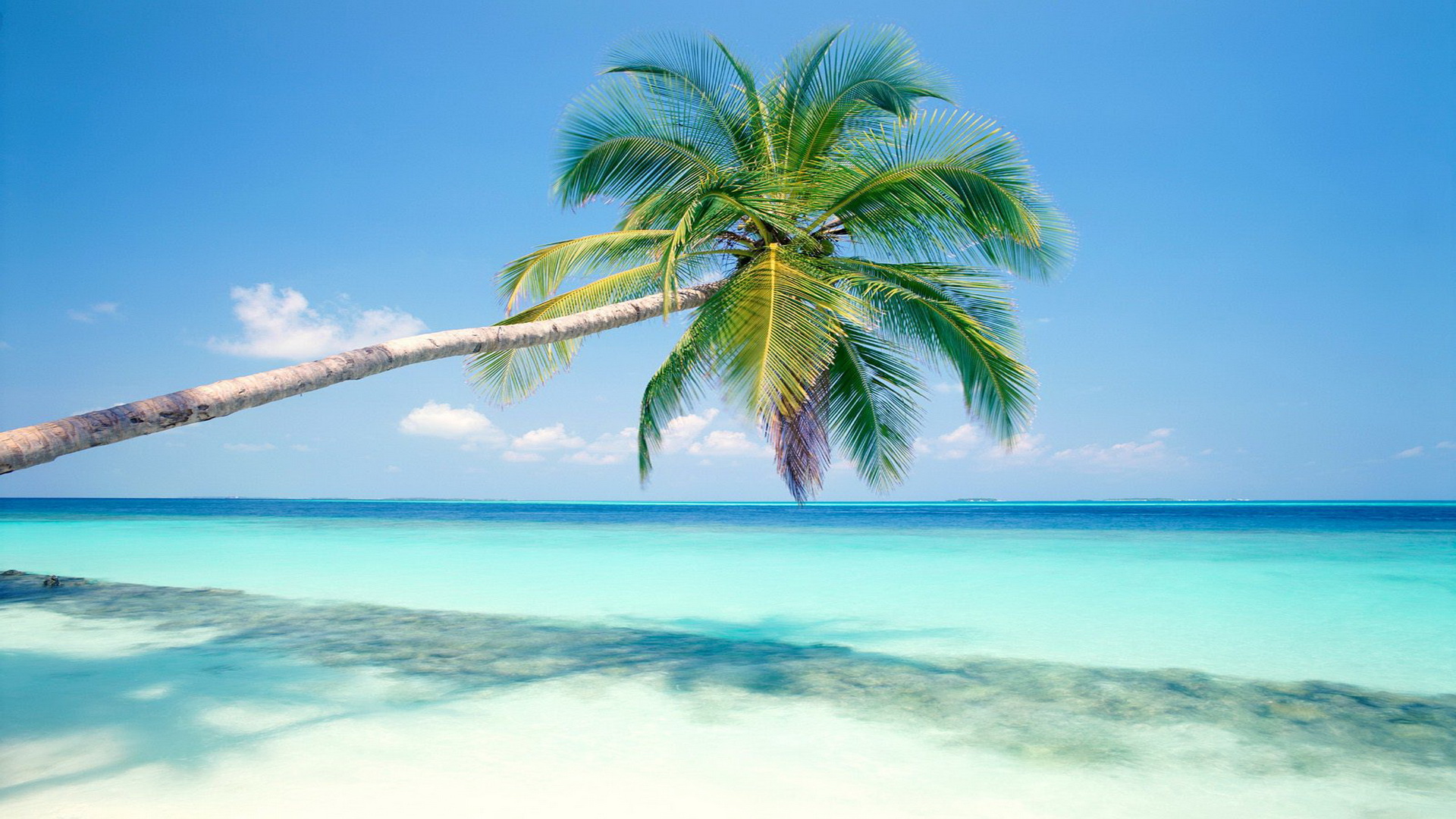 Pics Photos   Tropical Island Background Hd Desktop 1920x1080