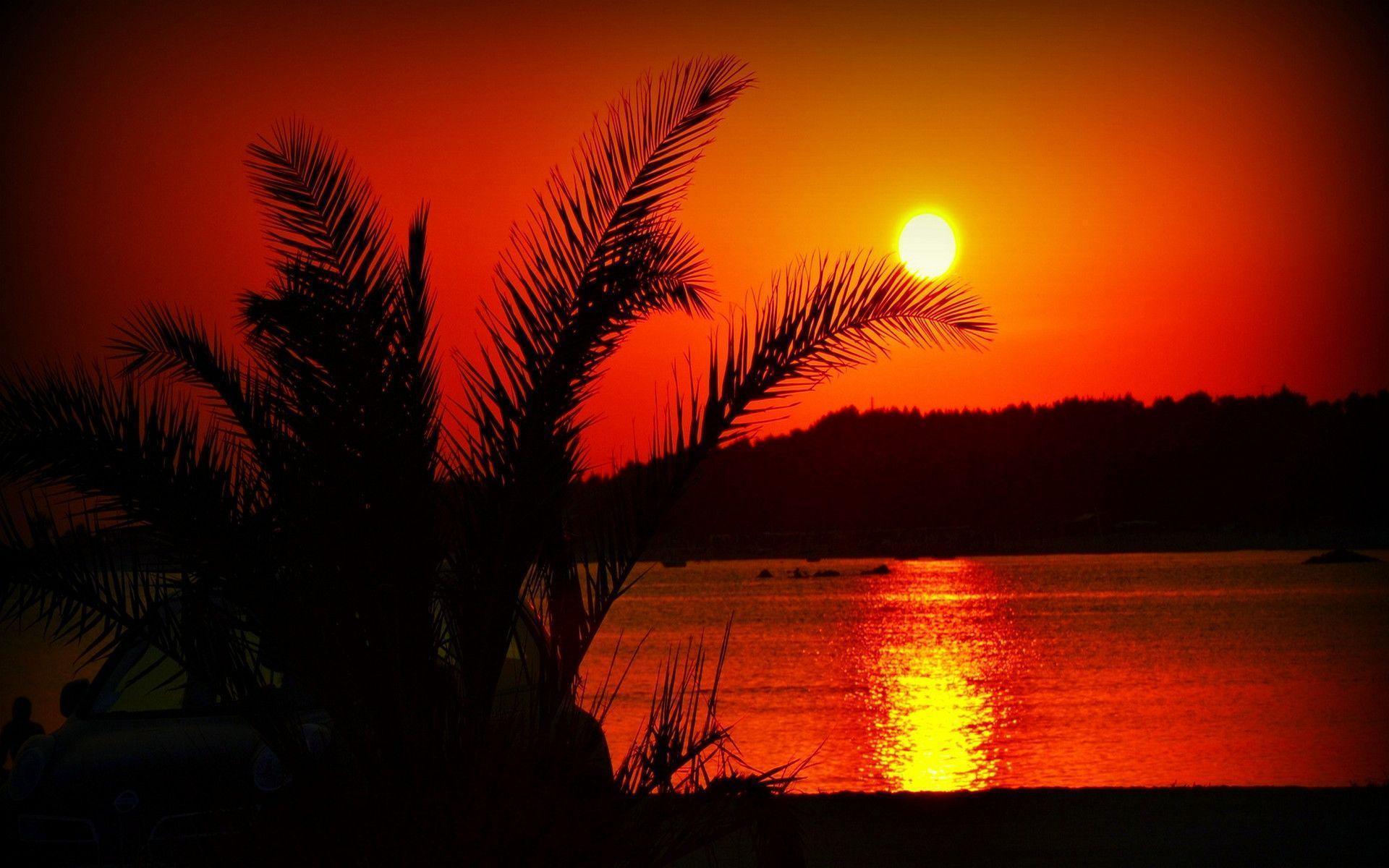 Summer Sunset Wallpapers 1920x1200