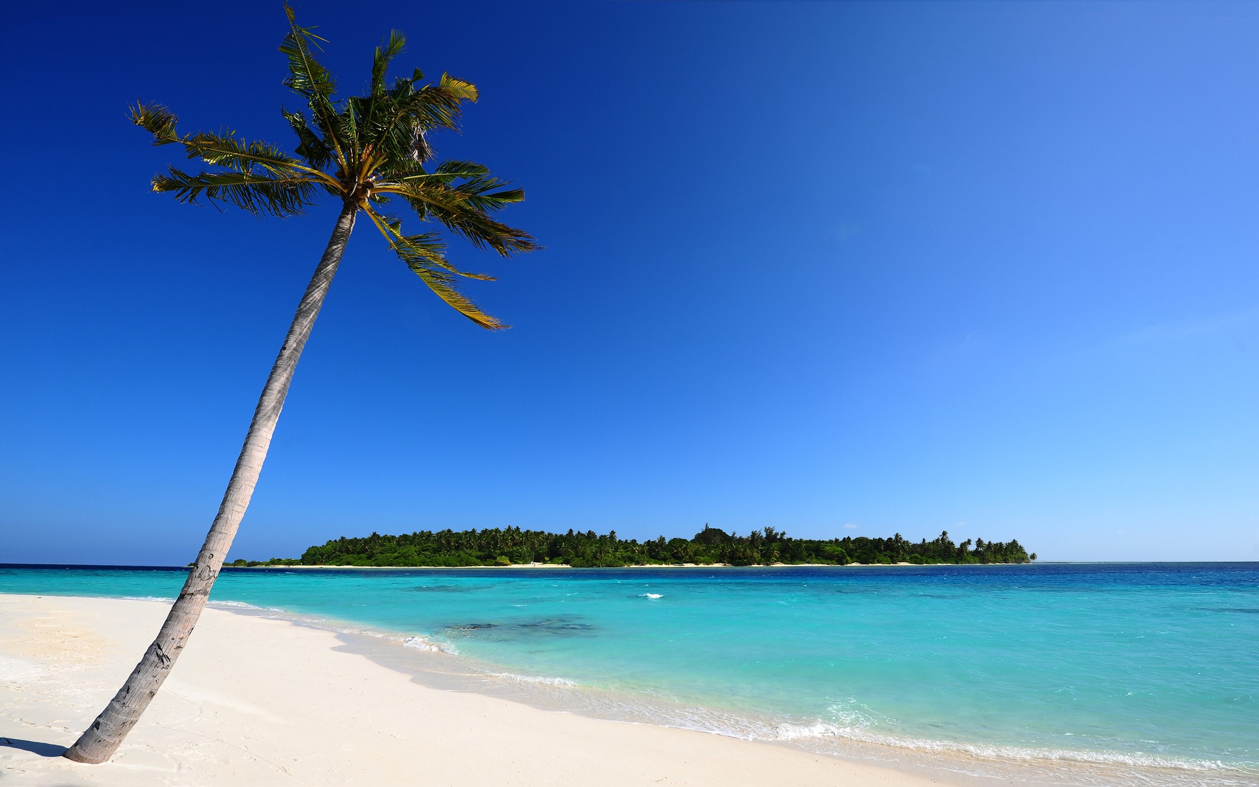 Desktop Backgrounds Beach Theme   wallpaper 2560x1600